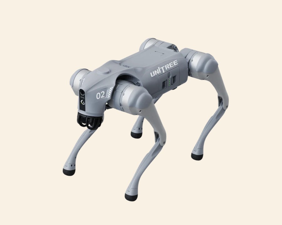 VietSmart robot